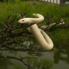White Snakes of Iwakuni