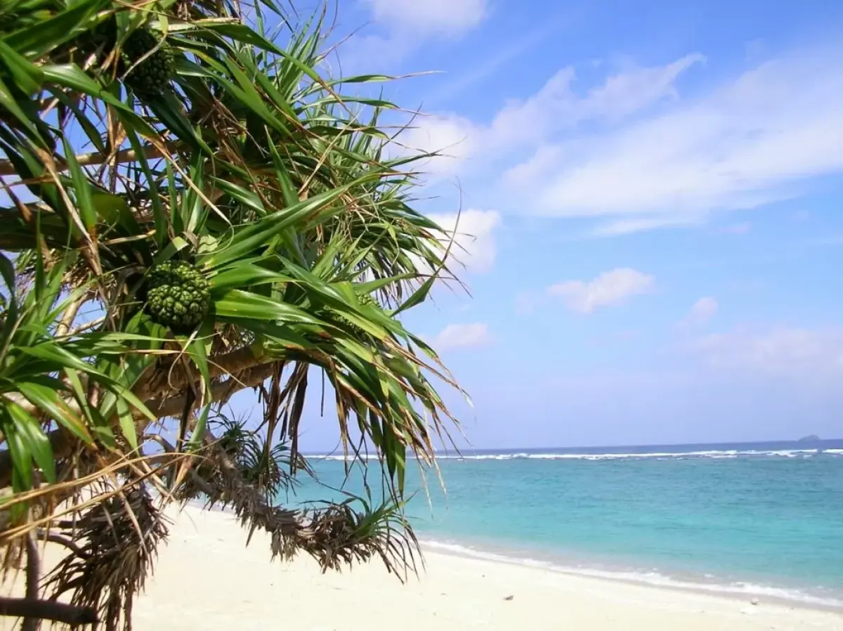 Yadoribama Beach