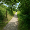 Yamanobe-no-michi Trail