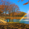 Yoyogi Park
