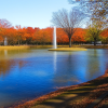 Yoyogi Park