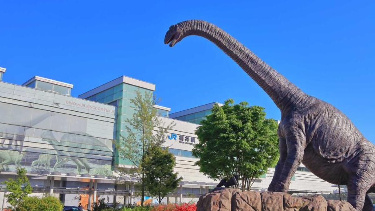 Fukui