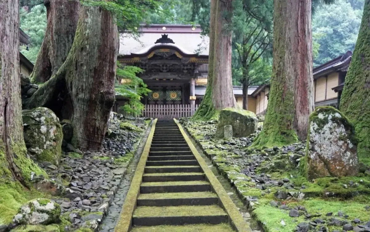Fukui