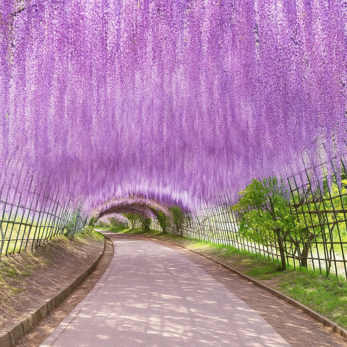 Fukuoka