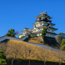 Kakegawa Travel Tips 