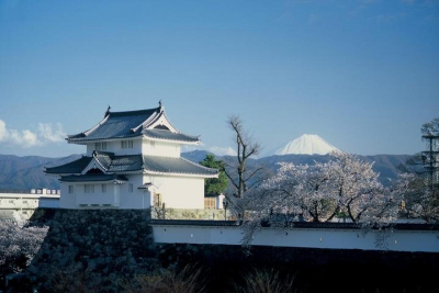 Kofu