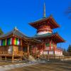 Narita