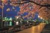 Niigata City
