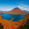 Nikko