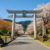 Otsu