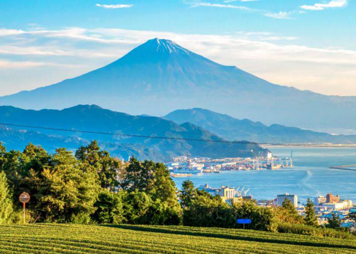 Shizuoka