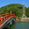 Uji