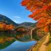 Uji