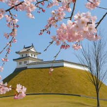 Utsunomiya Travel Tips 