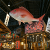 Wakayama City