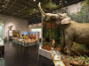 Museums