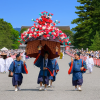 Aoi Matsuri