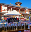 Dogo Onsen Festival