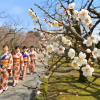 Mito Plum Festival