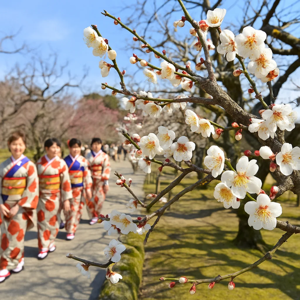 Mito Plum Festival