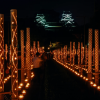 Mizu Akari Festival