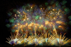Nagaoka Fireworks Festival