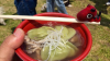 Utsunomiya Gyoza Festival
