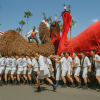 Uwajima Ushioni Festival