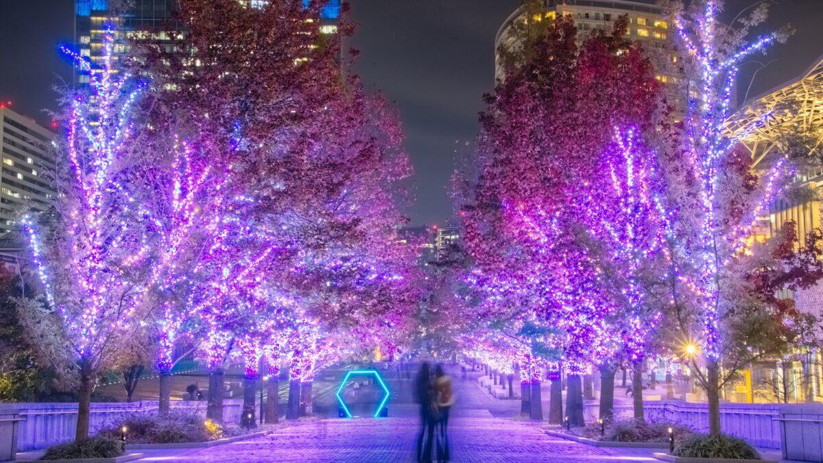 Yokohama Night Illumination (yorunoyo)