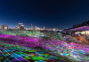 Yokohama Night Illumination (yorunoyo)
