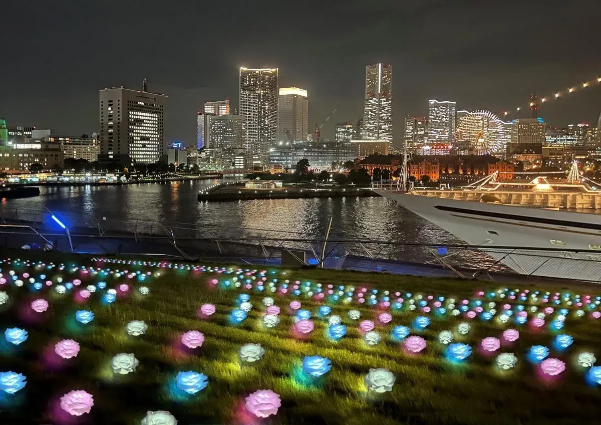 Yokohama Night Illumination (yorunoyo)