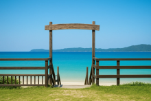 Amami Oshima Travel Tips 