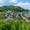Honjima Island