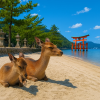 Miyajima Island