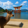 Miyajima Island