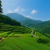 Shodoshima Island