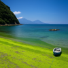 Ueshima Island
