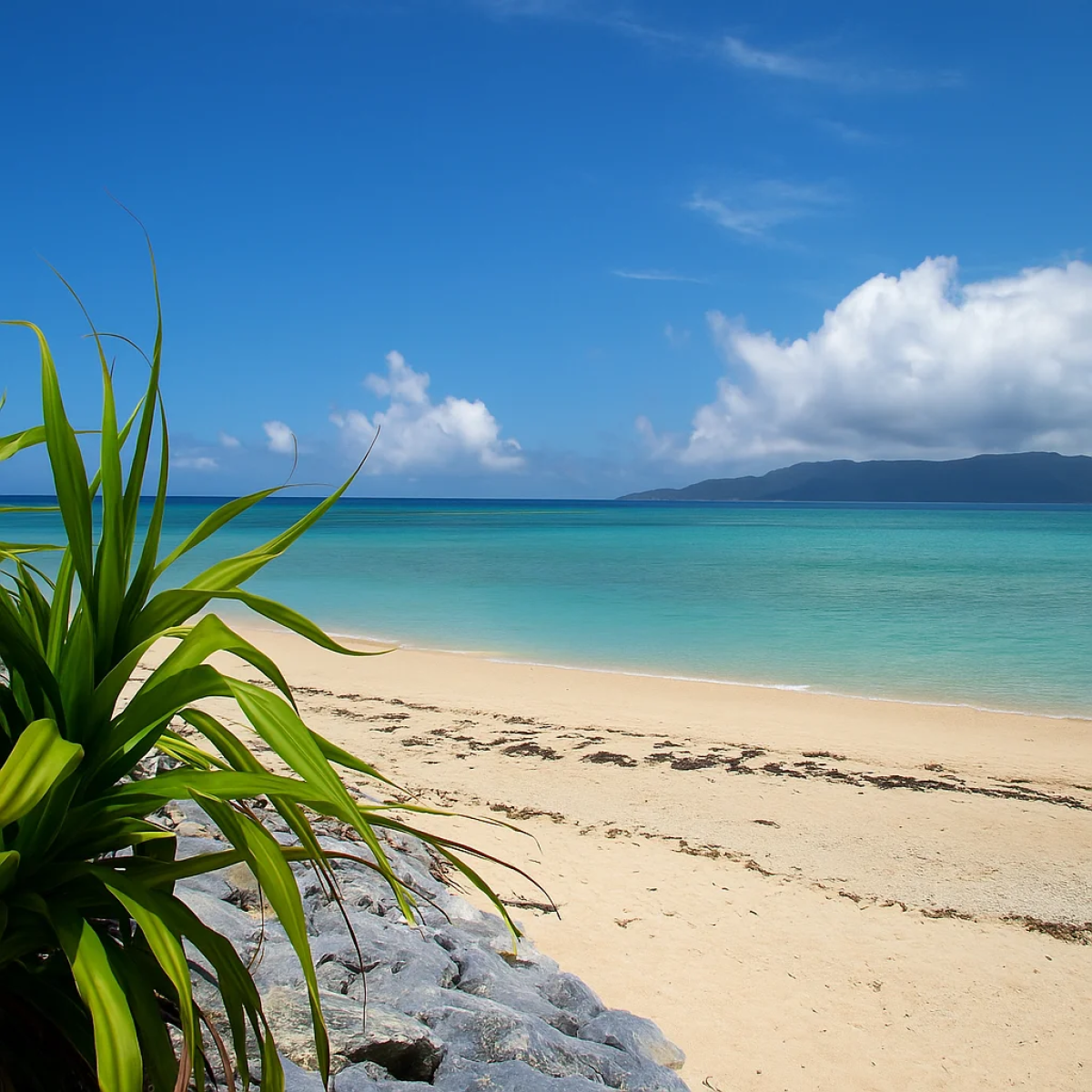 Yaeyama Islands