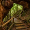 Yakushima