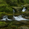 Yakushima