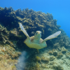 Iriomote-Ishigaki National Park