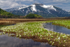 Oze National Park