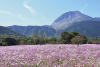 Unzen-Amakusa National Park