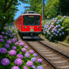 Hakone free pass