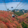 Hakone free pass