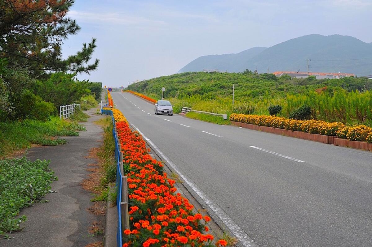 Boso Peninsula