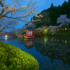 Chiba