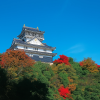 Gifu
