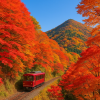 Gunma