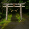Miyazaki